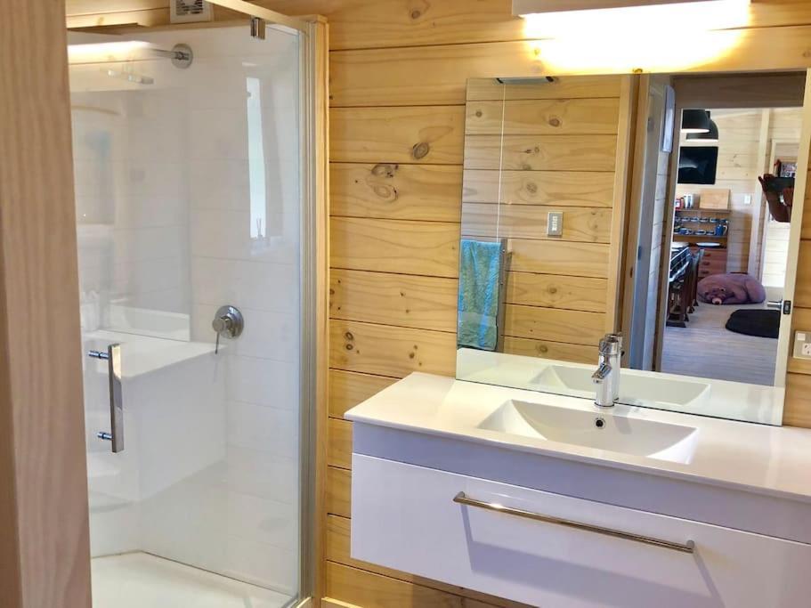 Modern Kowhai Cottage ワナカ エクステリア 写真